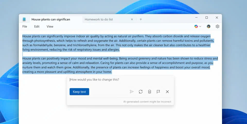 Microsoft Notepad